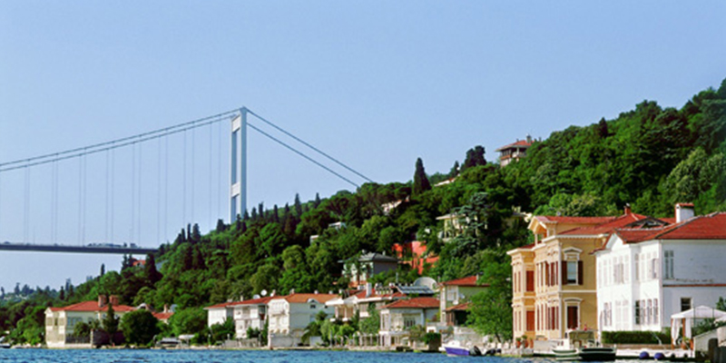 Beykoz Karot