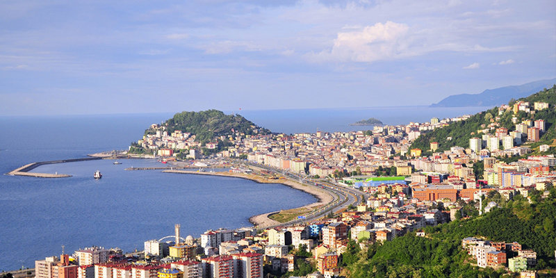 Giresun Karot
